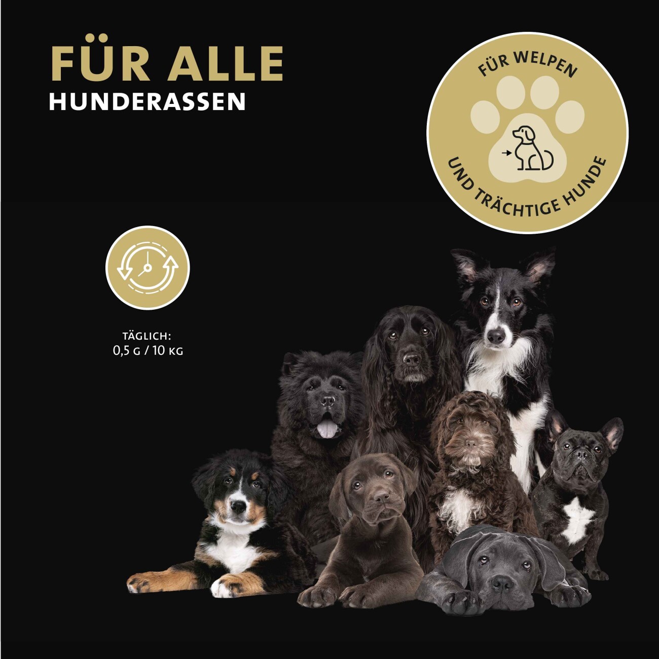 Peticare Ergänzungsfutter Zahnpflege Pulver für Hunde 125g