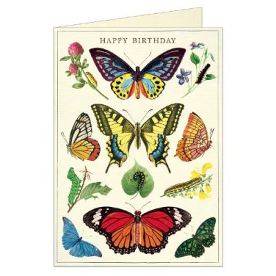 Butterflies Greeting Card