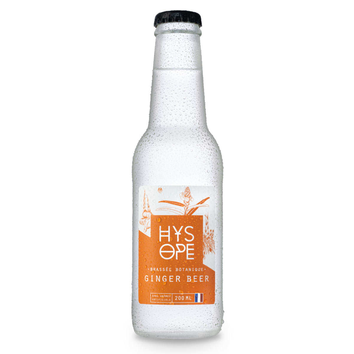 Ginger beer Hysope bio et française