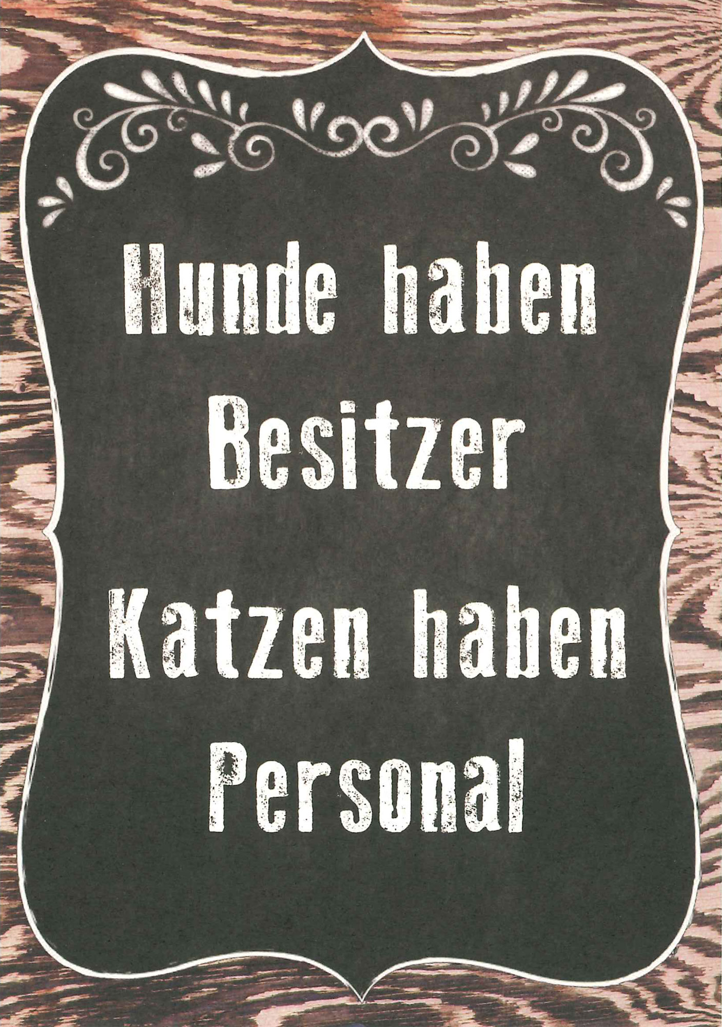 Postkarte 'Hunde & Katzen' günstig bestellen