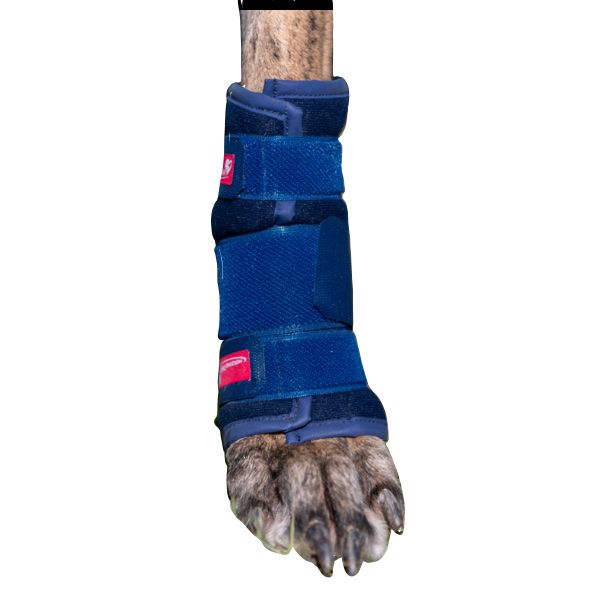 Karpalbandage Schaumstoff bei Bandinstabilität, Entzündung, Lahmheit