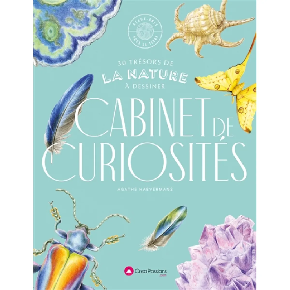 Cabinet de curiosités : 30 trésors de la nature à dessiner · Occasion