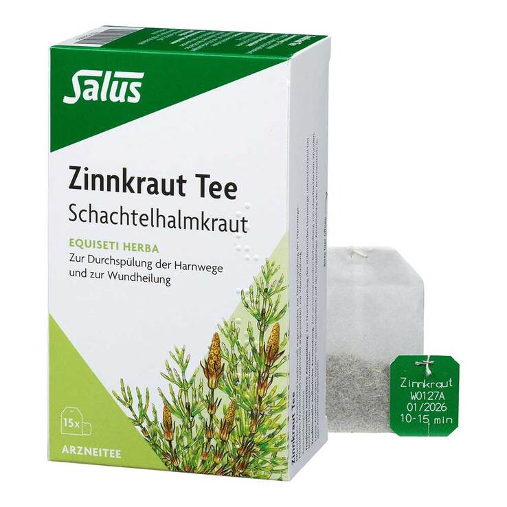 Zinnkraut Tee Schachtelhalmkraut Salus Filterbeutel , 15 St