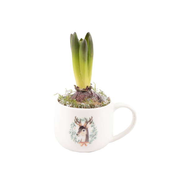 Jacinthe X1 mug décors nature D10
