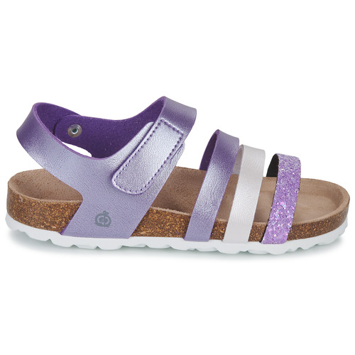 Citrouille et Compagnie - ZELLIE - Violet