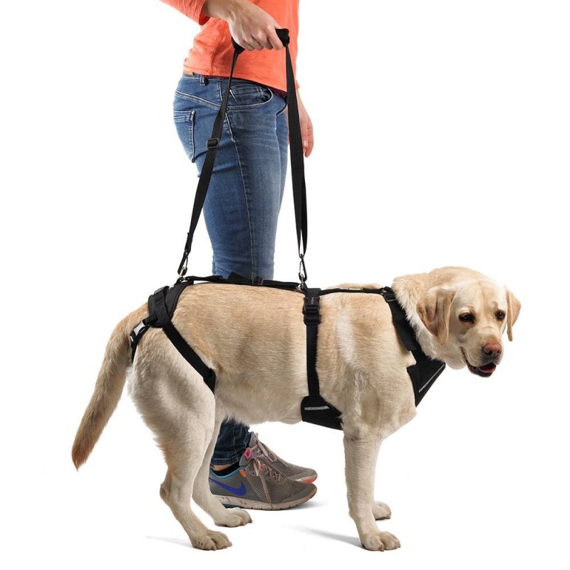 Arnês de corpo inteiro para cães. Suporta as patas dianteiras e traseiras.