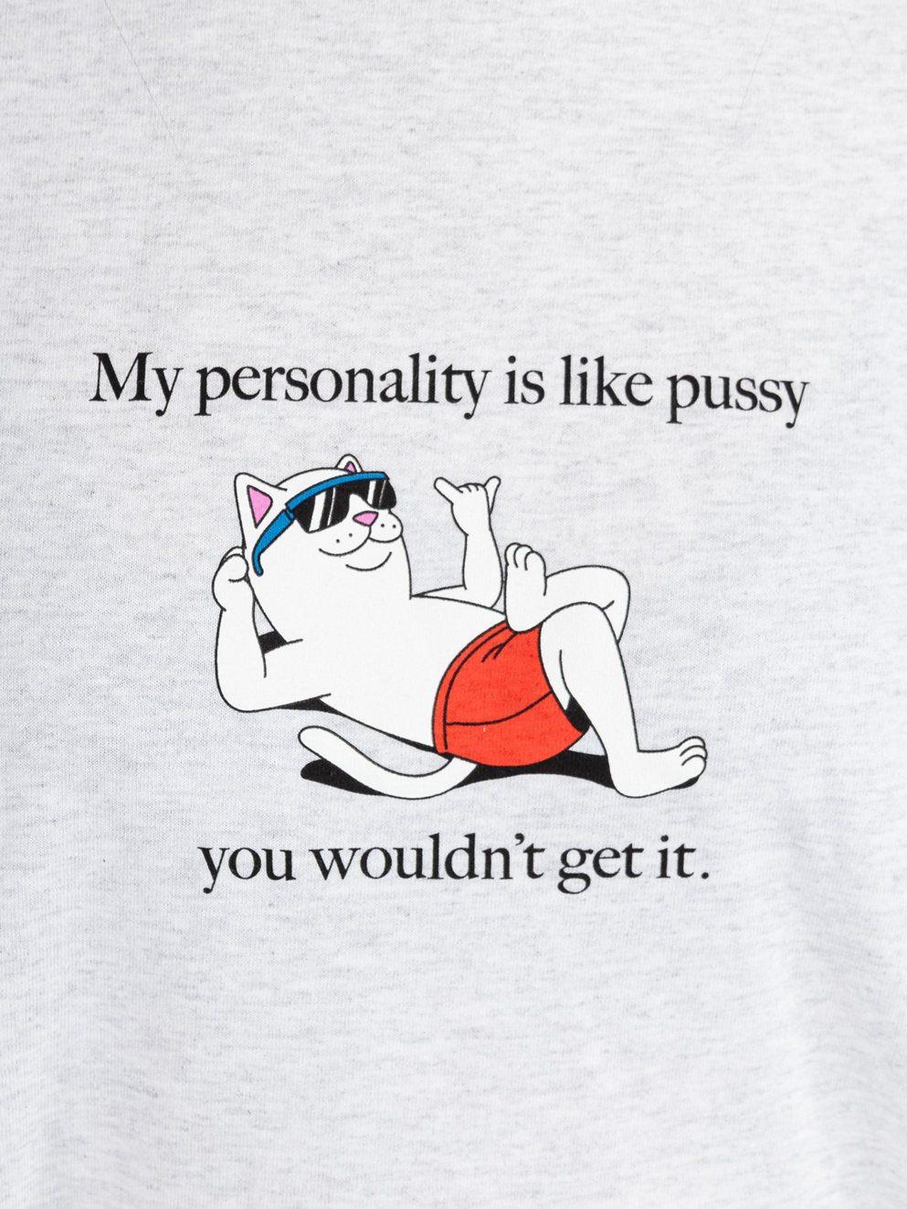 RIPNDIP You Wouldn'T Get It T-Shirt ash grey