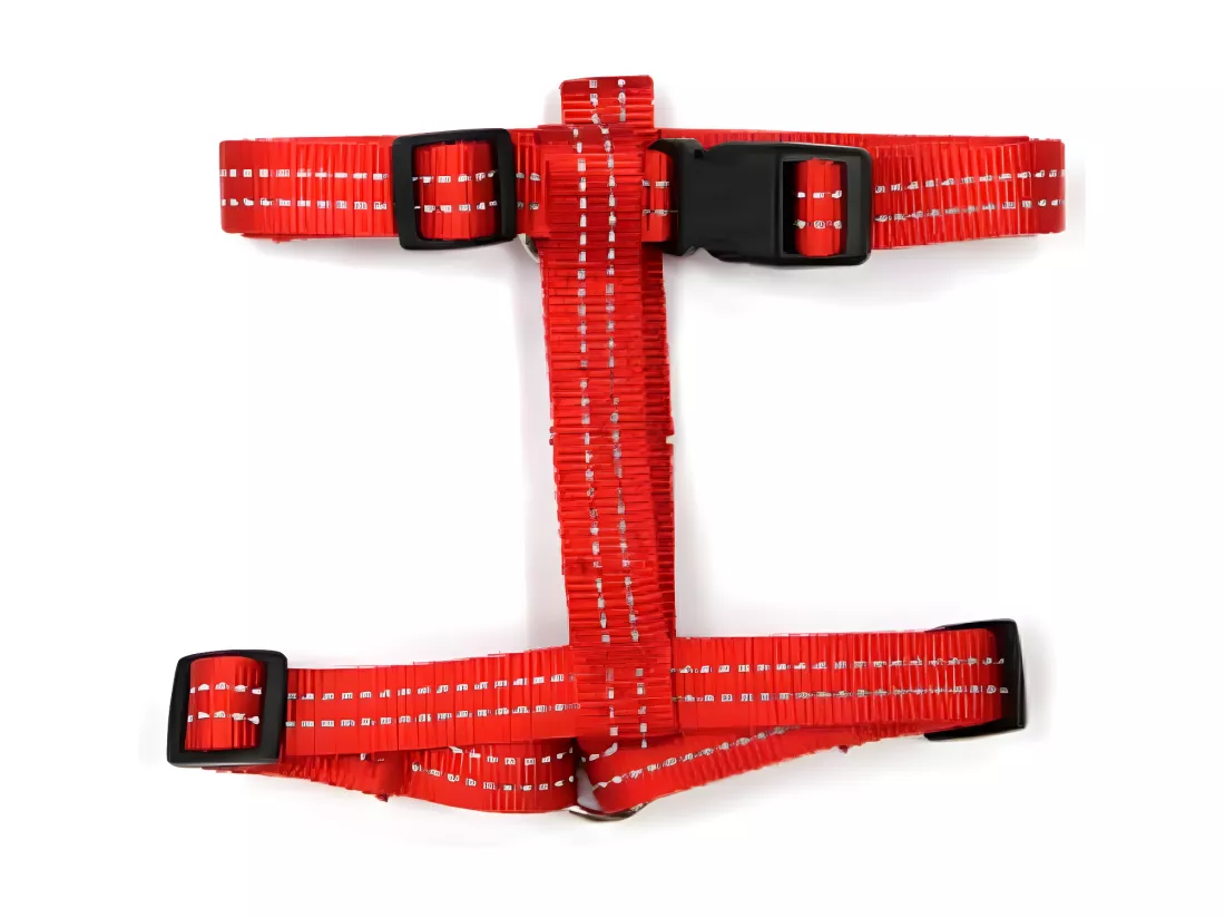 Harnais pour Chien 