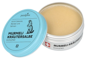 PURALPINA Murmeli Kräutersalbe kühlend, 50 ml