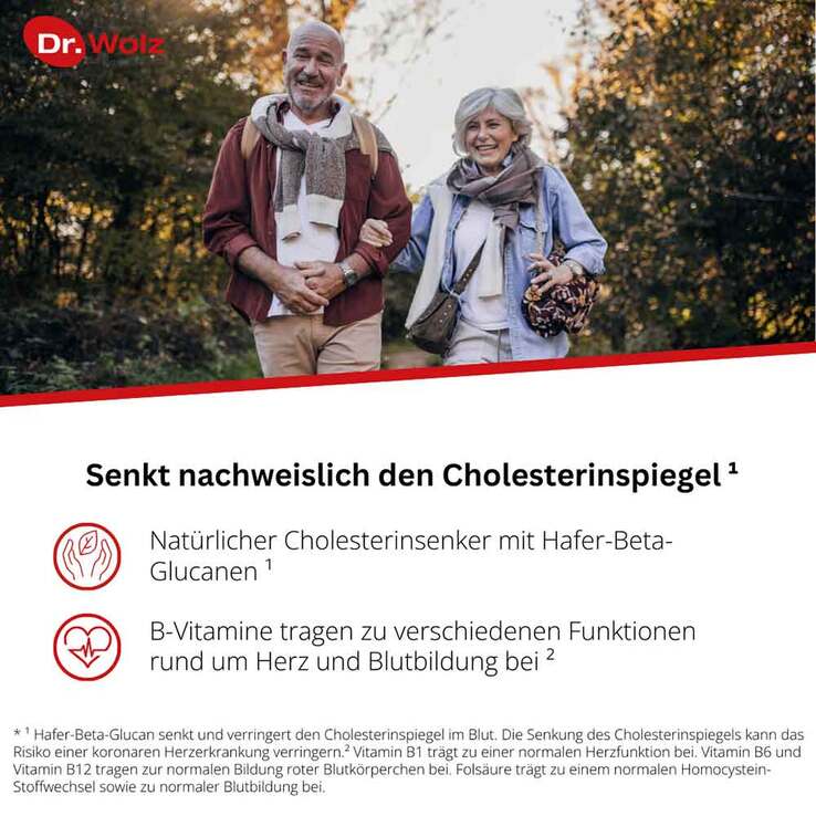 Cholesterinreduktion Dr. Wolz Pulver, 224 g