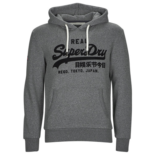Superdry - TONAL VL HOODIE - Gris