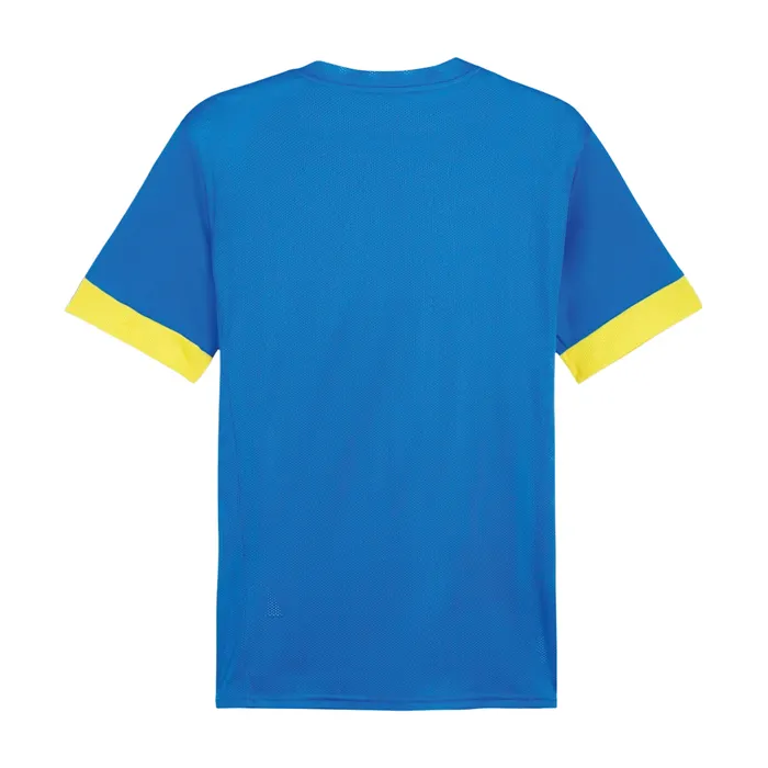 Puma TeamGOAL Matchday Shirt Heren
