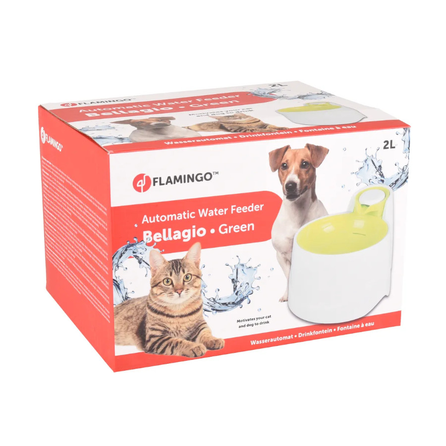 Fonte de água Flamingo Bellagio Verde para cães e gatos