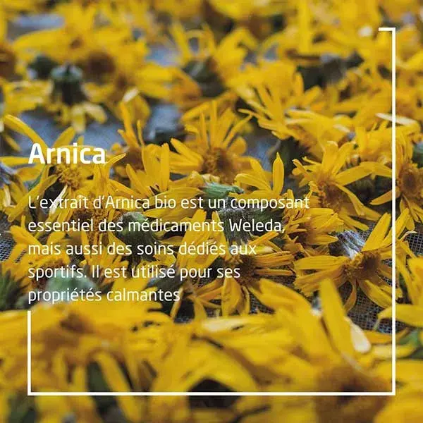 Óleo de Massagem Orgânico de Arnica Weleda 200ml