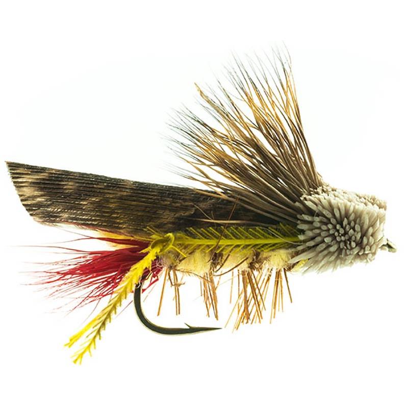 Mouche Devaux Terrestre Saut 34 Bl
