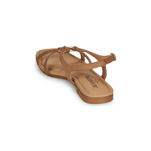 JB Martin - ALGUE - VEAU TEJUS CAMEL