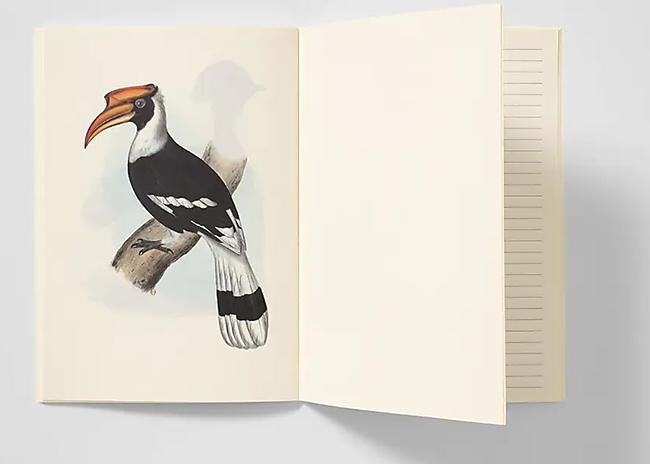 CARNET DE NOTES OISEAUX DE L HIMALAYA