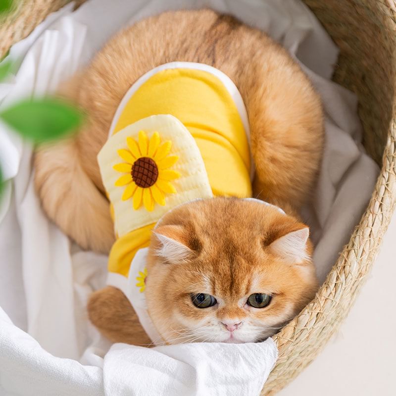 Cissilli - Bloemen Pet Top (Diverse ontwerpen)
