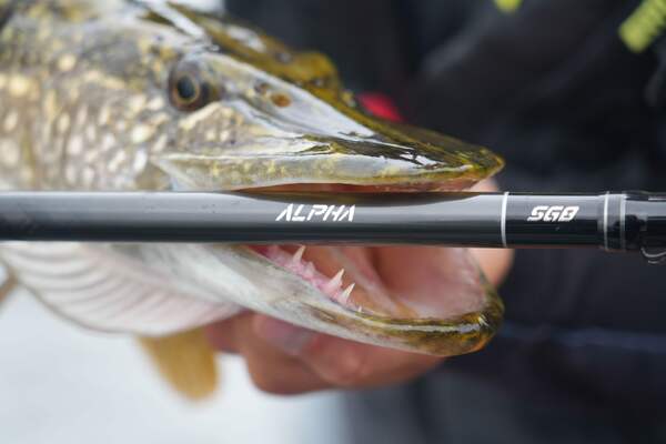 Canne Casting Savage Gear Alpha SG8 Swimbait