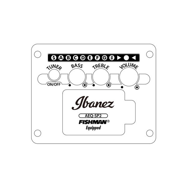 Ibanez AEWC400-AMS