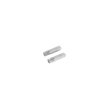 Irwin schroefbit Torx 25 mm T40 2 stuks
