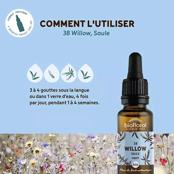 Florais de Bach Biofloral 38 Willow Willow Dropper Orgânico Demeter 20 ml