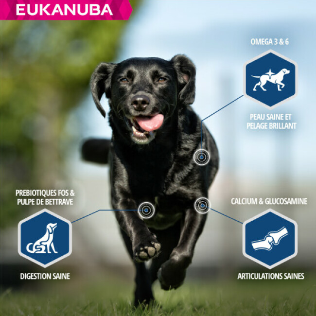Croquettes Eukanuba Adulte Daily Care Surpoids ou Stérilisés
