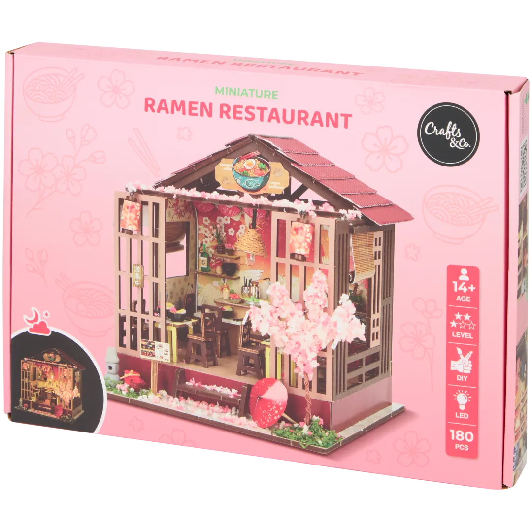 Crafts & Co DIY miniatuurhuisje Diverse varianten