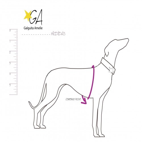 Babador Galguita Amelie em lycra fúcsia e turquesa para galgos e podencos.