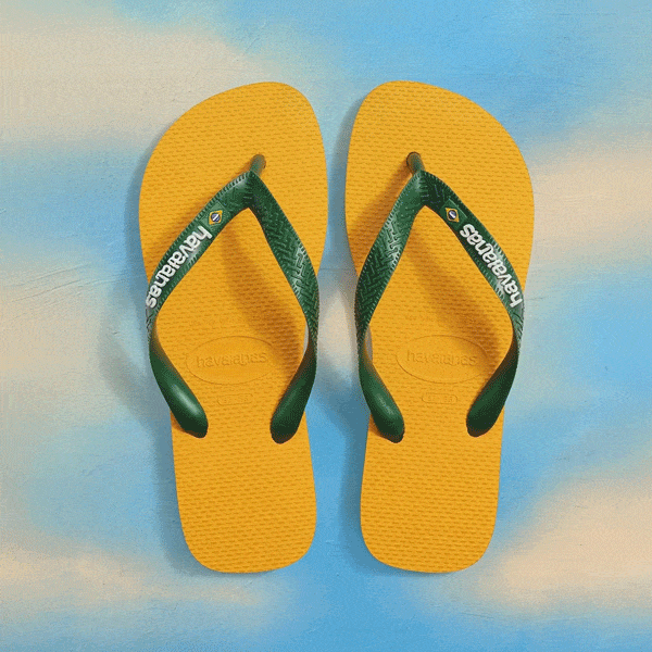Havaianas Brasil Logo