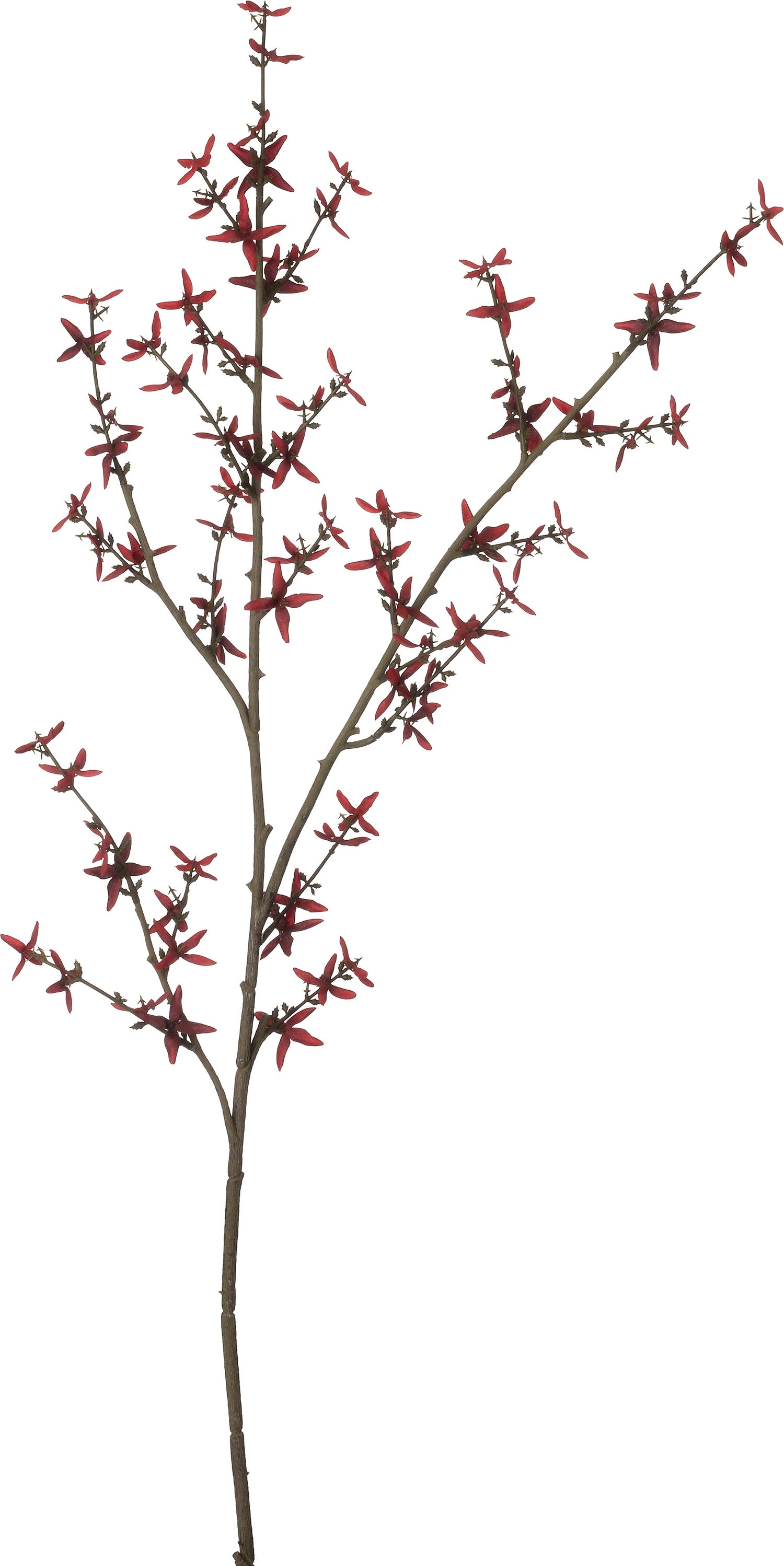 Intratuin kunstbloem Forsythia rood 115 cm