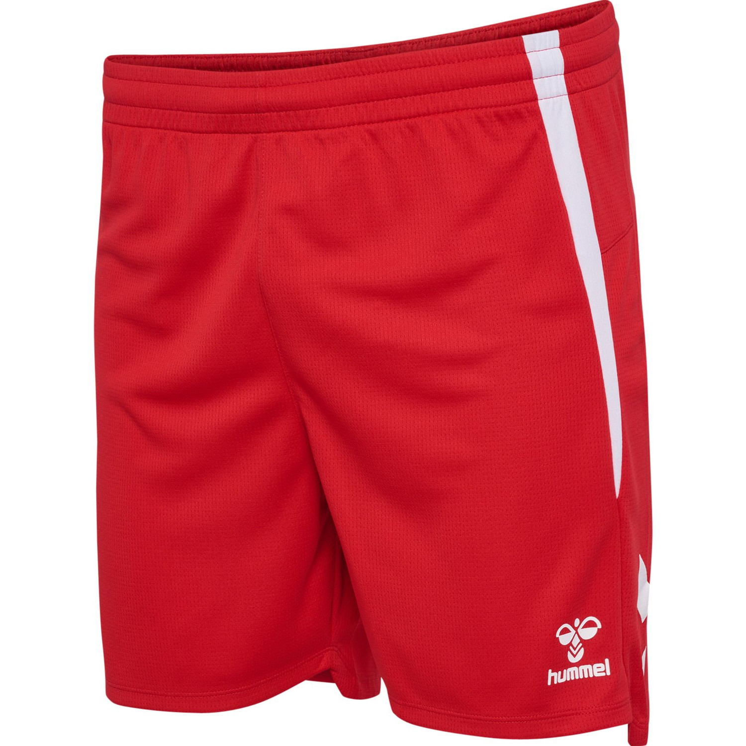 Hummel Lead 2.0 Shorts Heren