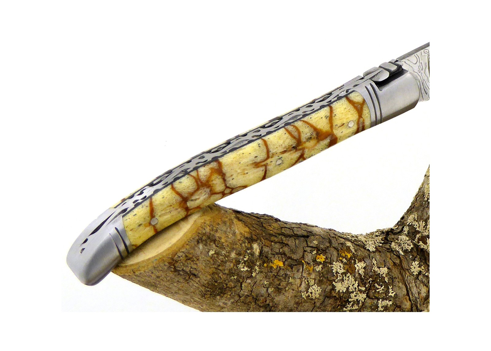 VENDU - Couteau Laguiole avec un manche en corail Fossile Tigré et une lame Damas