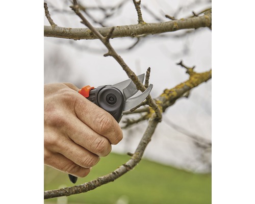 Tuinschaar, rozenschaar GARDENA ExpertCut