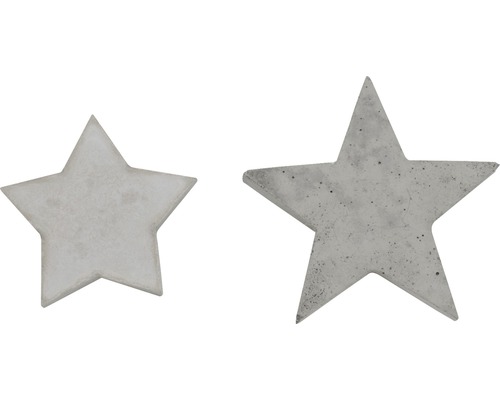 Stervormige gietvorm, 2 maten 9 & 12 cm