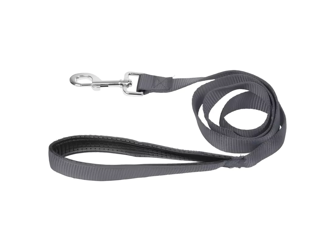 Laisse pour Chien 