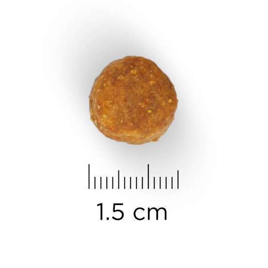 Croquettes chien adulte de grande taille au poulet - 18 kg