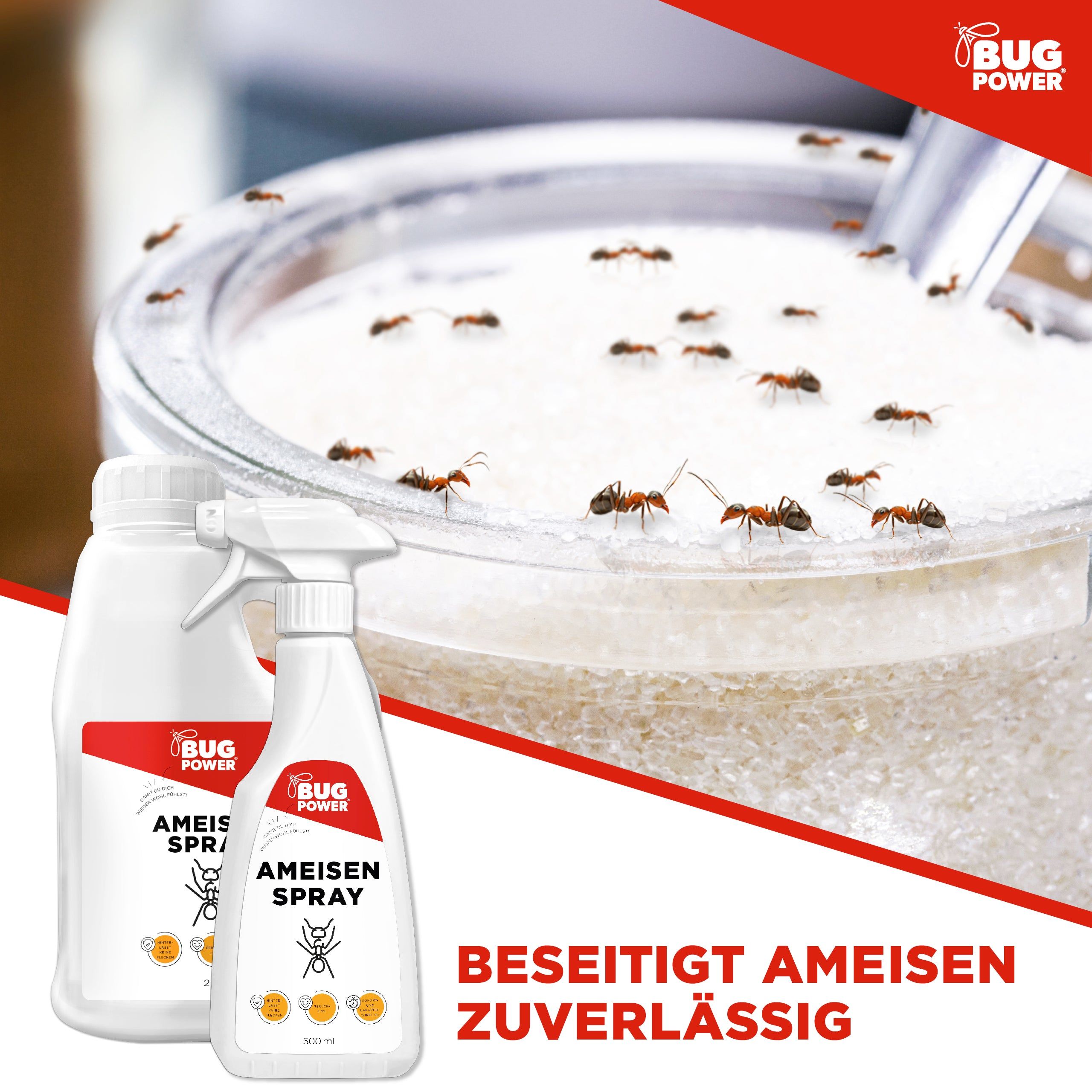 BugPower Ameisen Spray