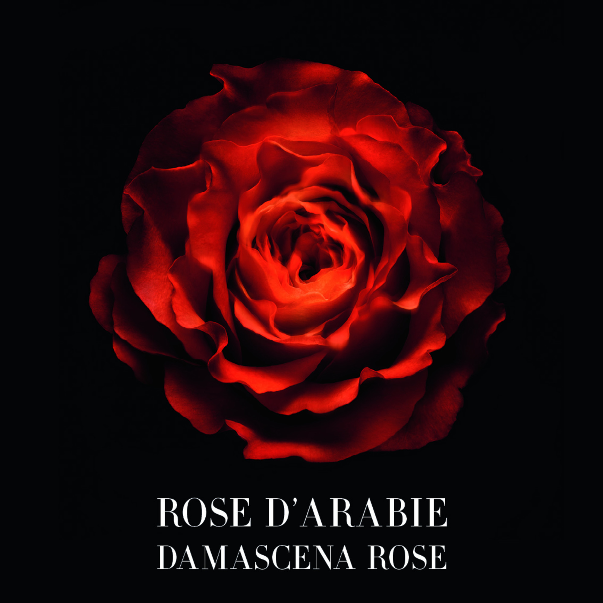 GIORGIO ARMANI Privé Rose D'arabie Eau de Parfum 100 ml
