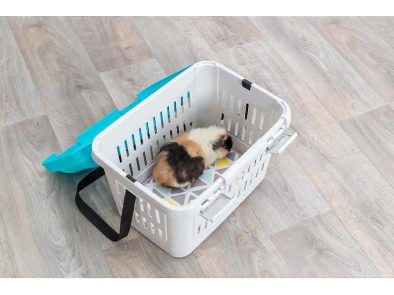 Trixie Transportbox Midi-Capri 44 × 33 × 32 cm Für den Transport von Nagetieren