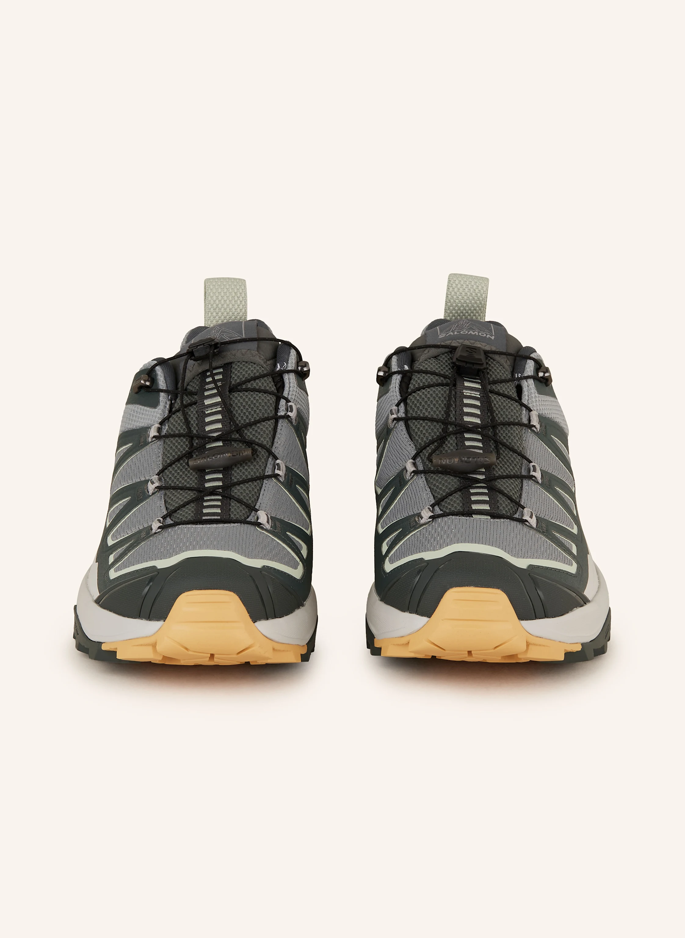 SALOMON Wanderschuhe X ULTRA 360 EDGE GTX