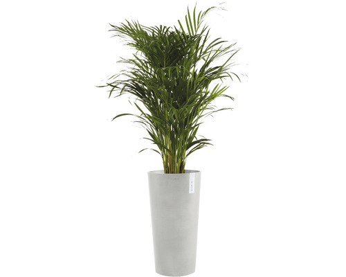 Ecopots Amsterdam plantenbak, kunststof, Ø 34 cm, H 66 cm, witgrijs