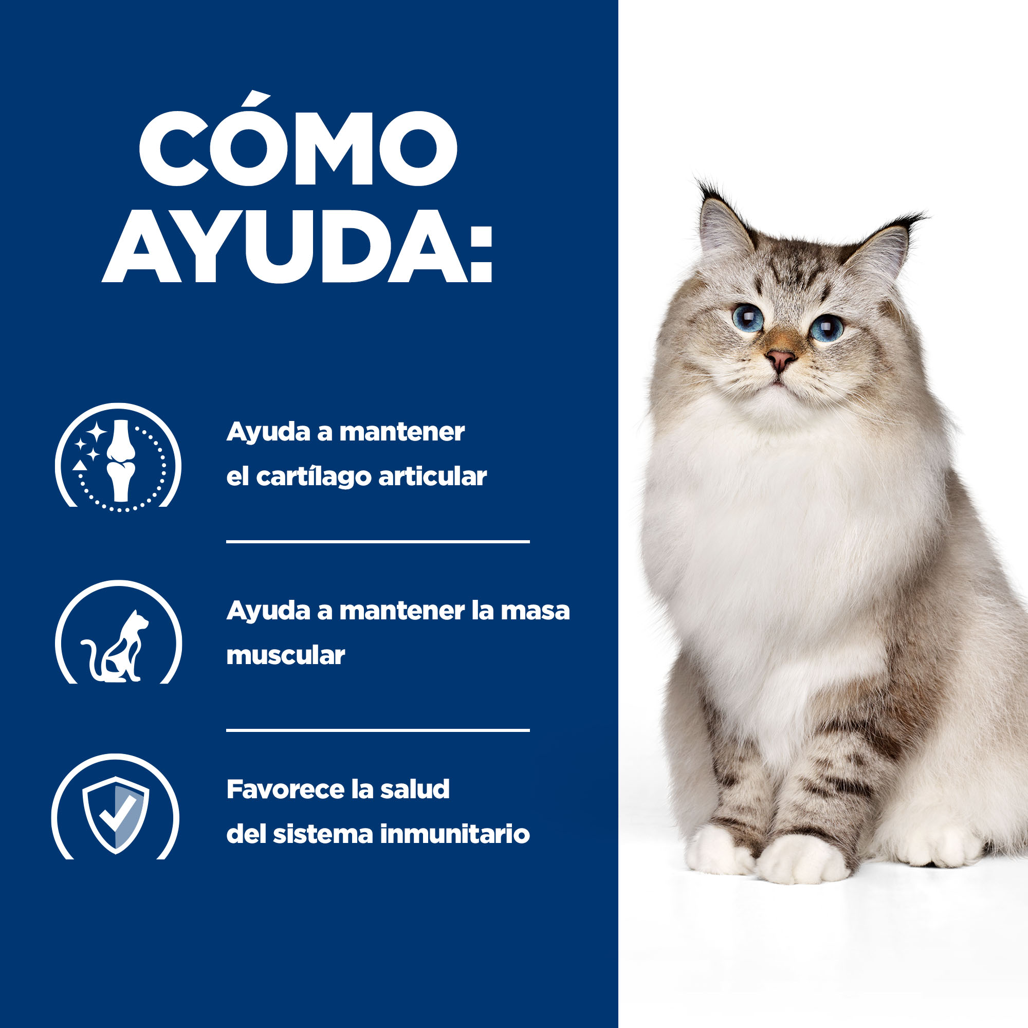 Hill's Prescription Diet Mobility j/d pia para gatos