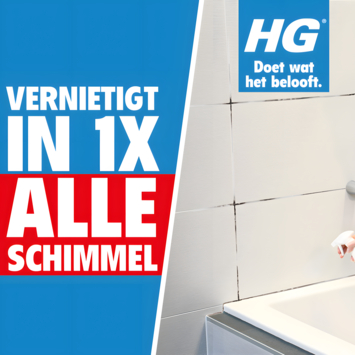 HG schimmelreiniger schuimspray 500 ml