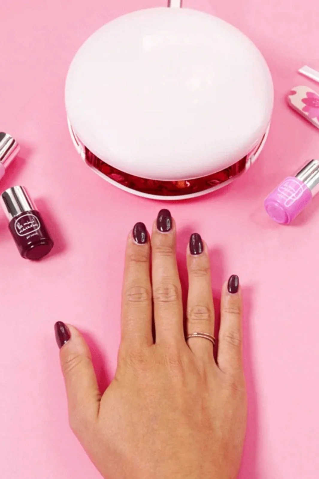 Le Mini Macaron Le Maxi La Vie En Bloom (Deluxe)