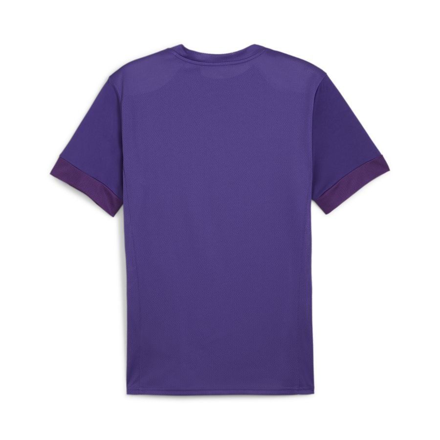 PUMA T-shirt d'Entraînement teamGOAL - Violet/Blanc