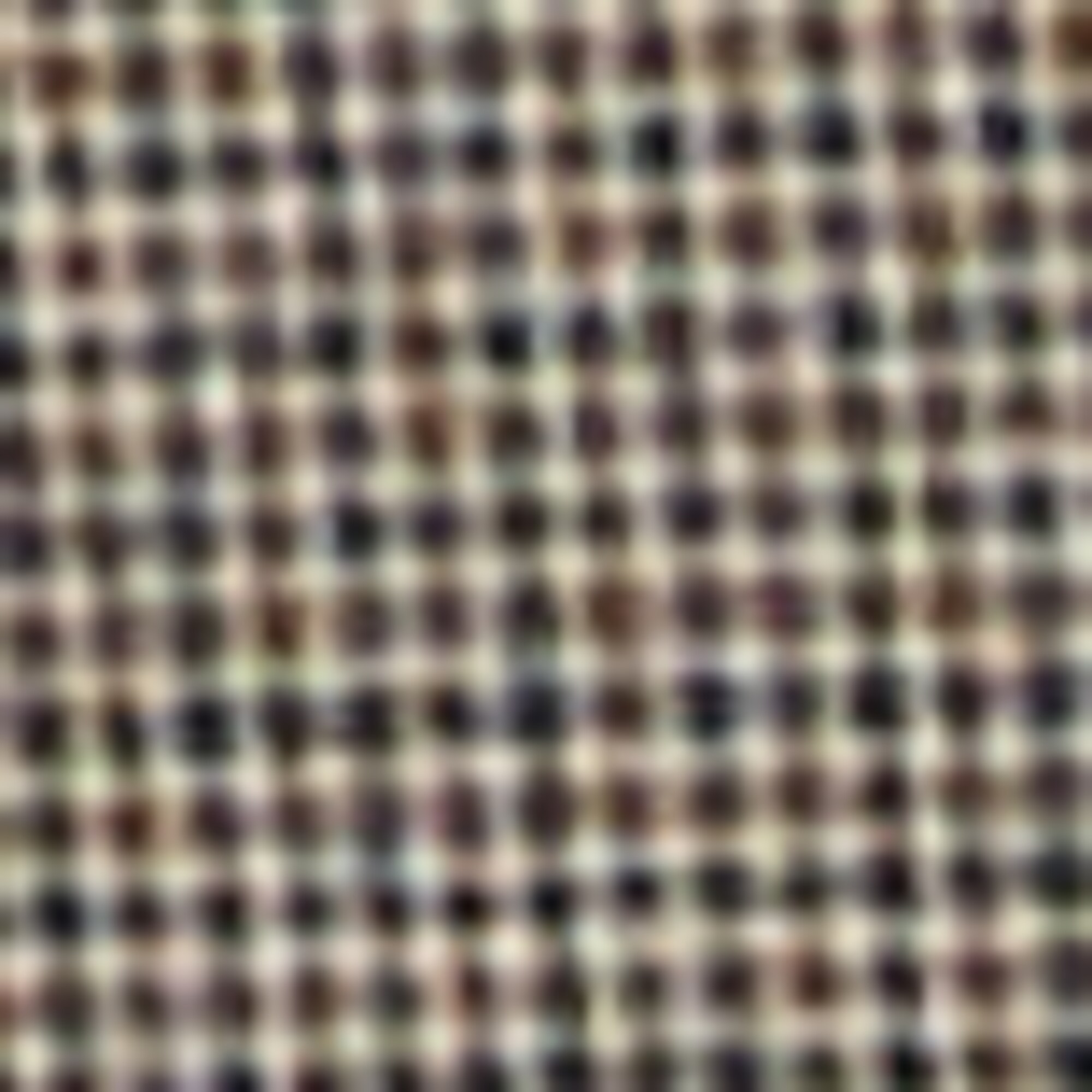 Hose Modell OSBY jogger tapered aus Bio-Baumwoll-Mix in Woll-Optik