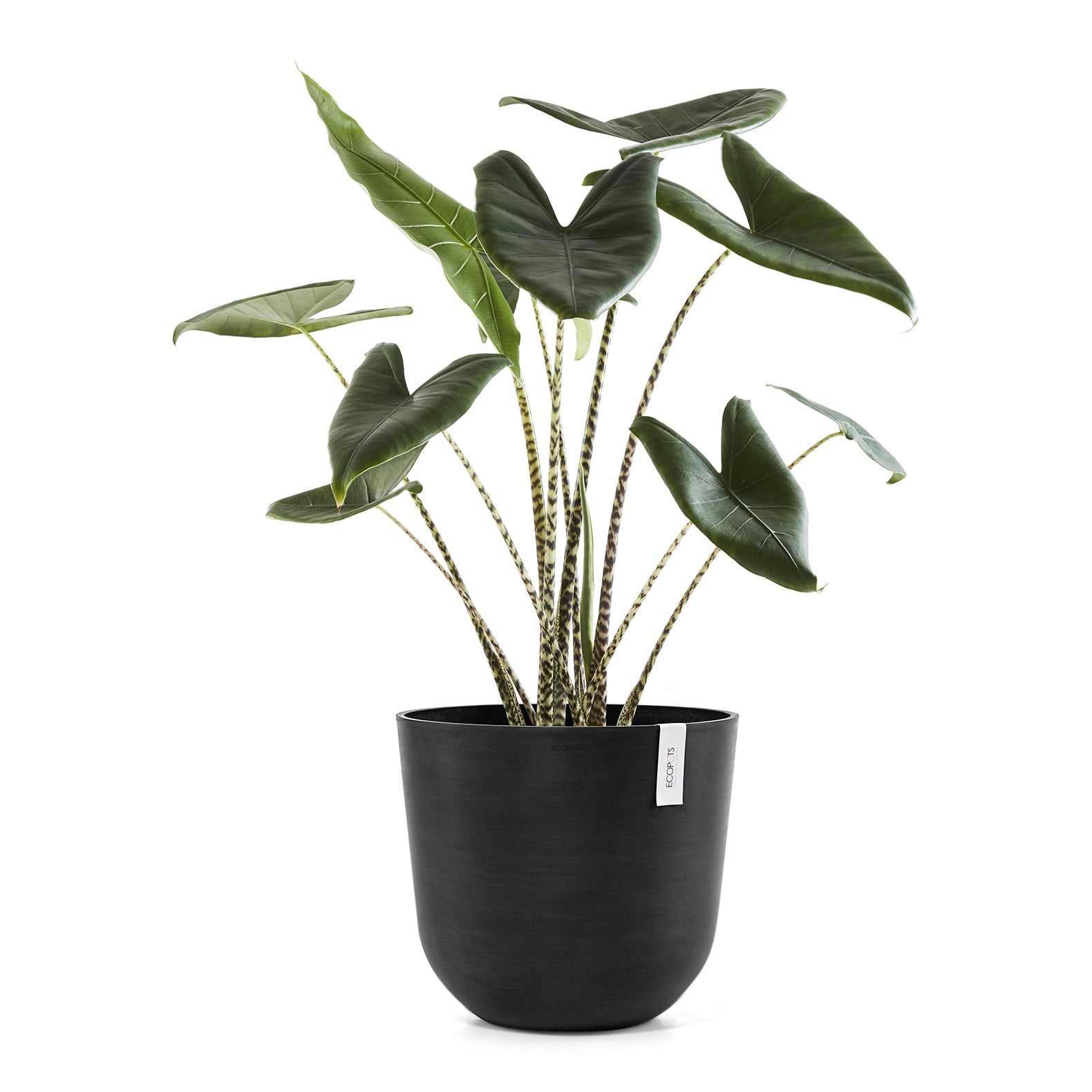 Ecopots Oslo Bloempot Ã 45 cm - Donkergrijs