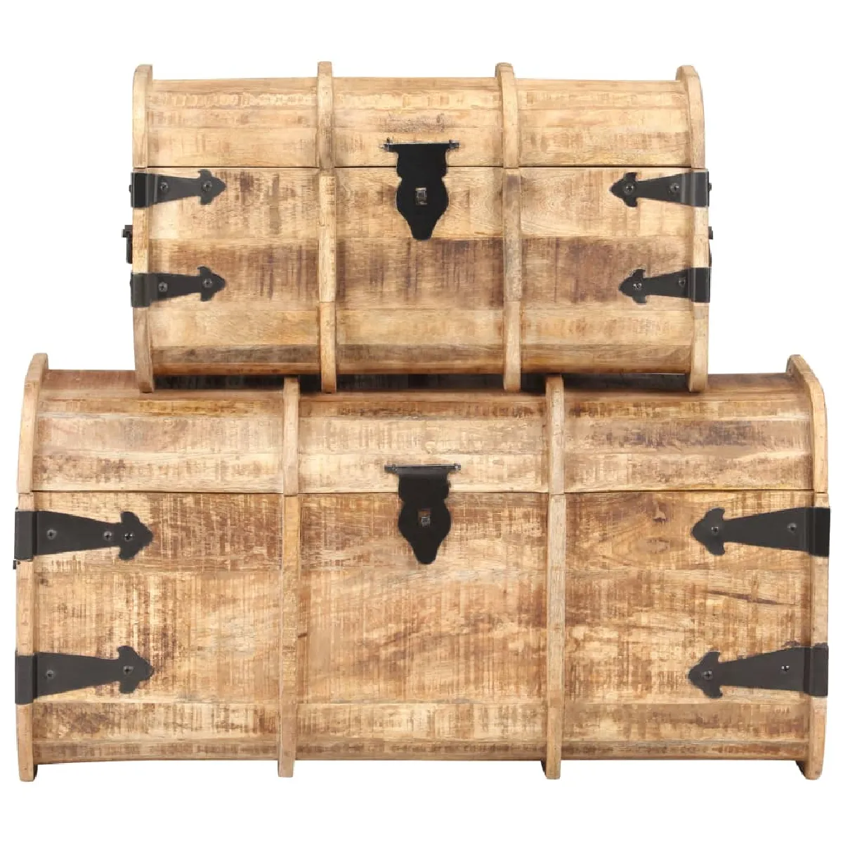 VidaXL Manguier 2 pcs