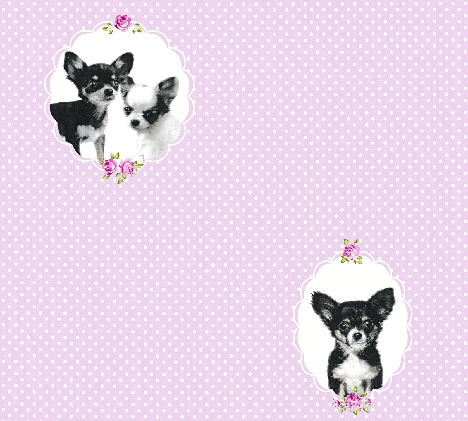 Vliestapete LITTLE STARS - rosa-schwarz - 10 Meter